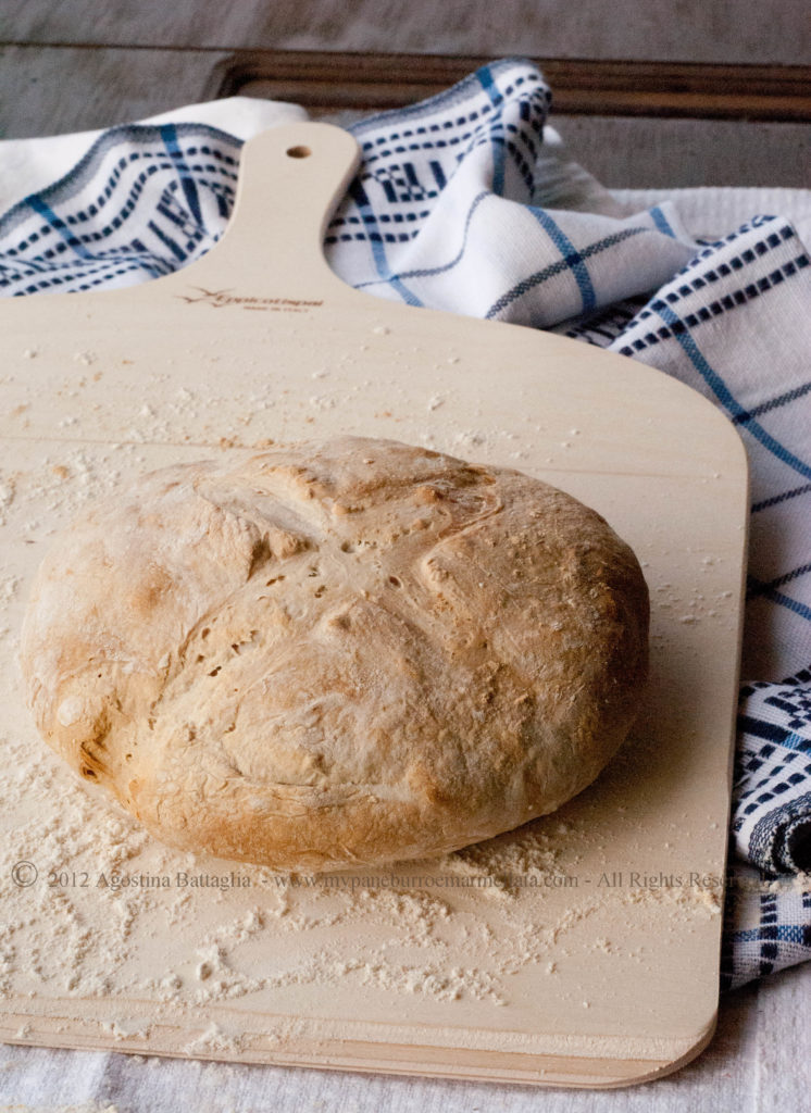 pane con lievito di governo mozzarelle