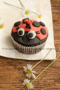 DSC_0001coccinella cupcake