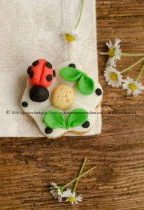 DSC_0024 cookie ladybug